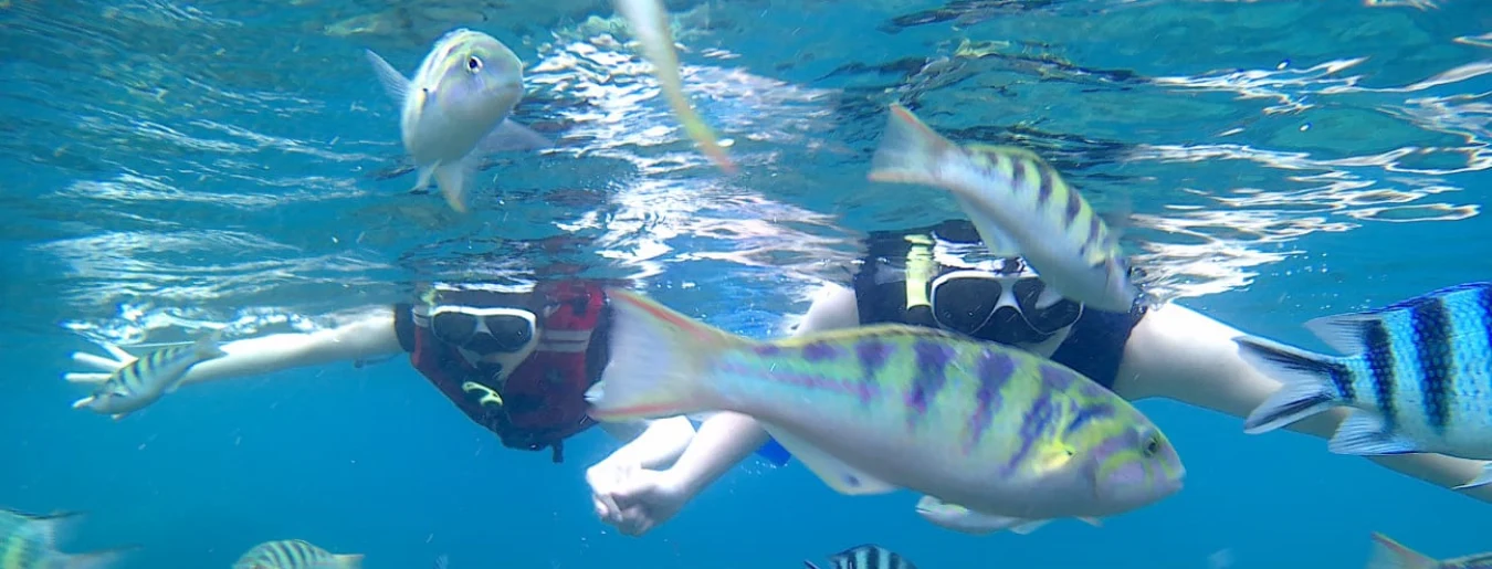 Bali Blue Lagoon Snorkeling