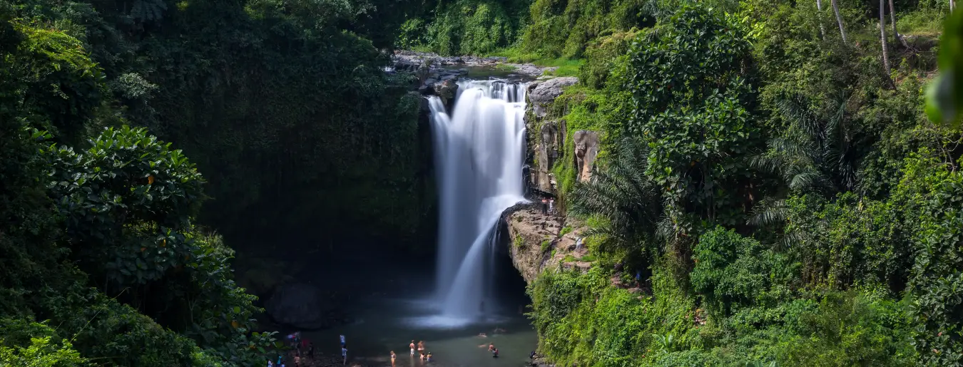 Bali Tegenungan Waterfall and Best Ubud Tour Package