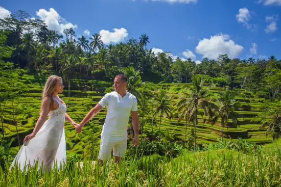 Bali Waterfall and Best Ubud Tour Package