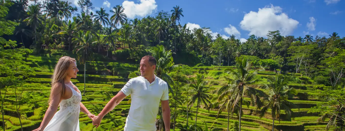 Bali Waterfall and Best Ubud Tour Packages